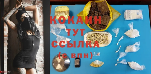 сатива Богородицк