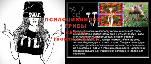 прущие крисы Верхний Тагил