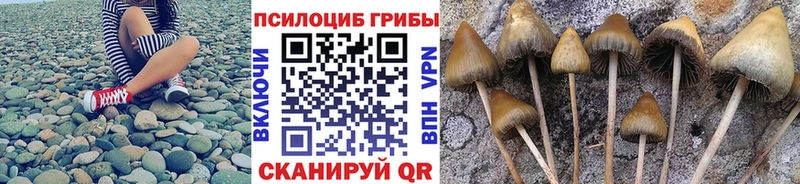 Галлюциногенные грибы Psilocybine cubensis наркотики Воркута